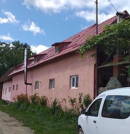 Casa Boierului Imbri Villa Cîrţişoara Buitenkant foto