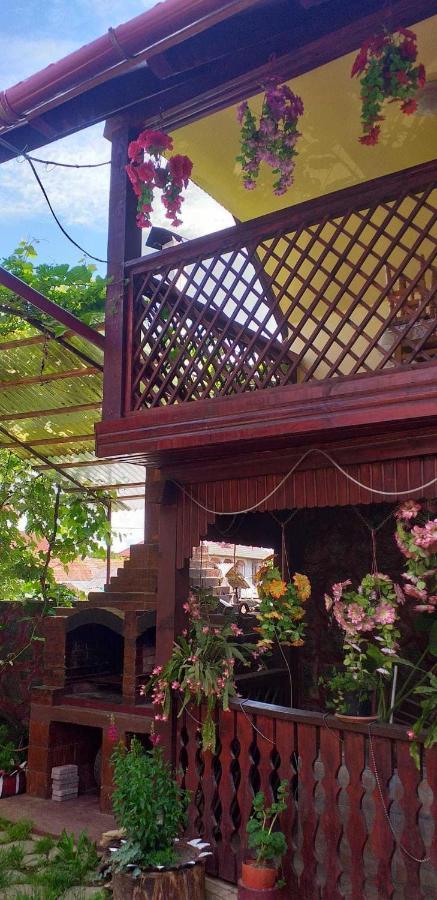 Casa Boierului Imbri Villa Cîrţişoara Buitenkant foto