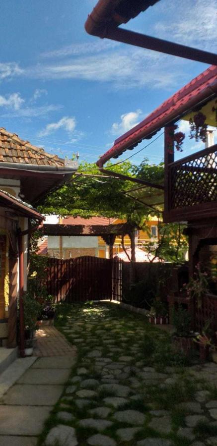 Casa Boierului Imbri Villa Cîrţişoara Buitenkant foto