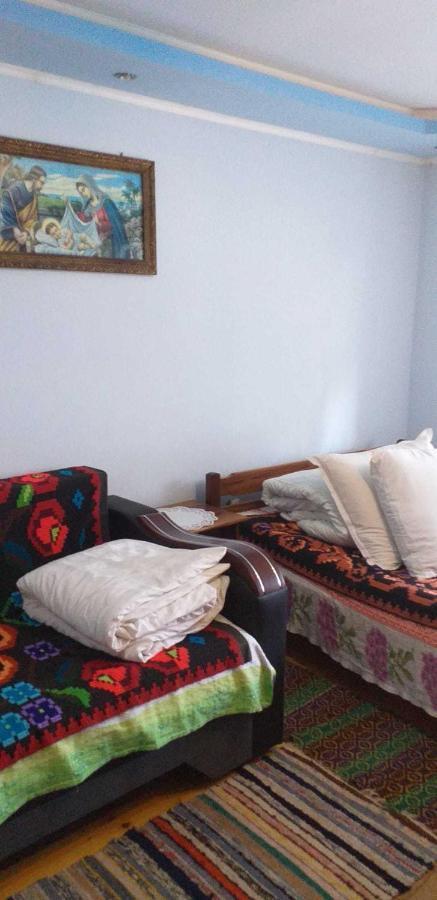 Casa Boierului Imbri Villa Cîrţişoara Buitenkant foto