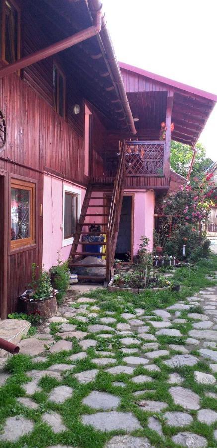 Casa Boierului Imbri Villa Cîrţişoara Buitenkant foto