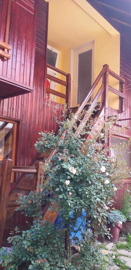 Casa Boierului Imbri Villa Cîrţişoara Buitenkant foto