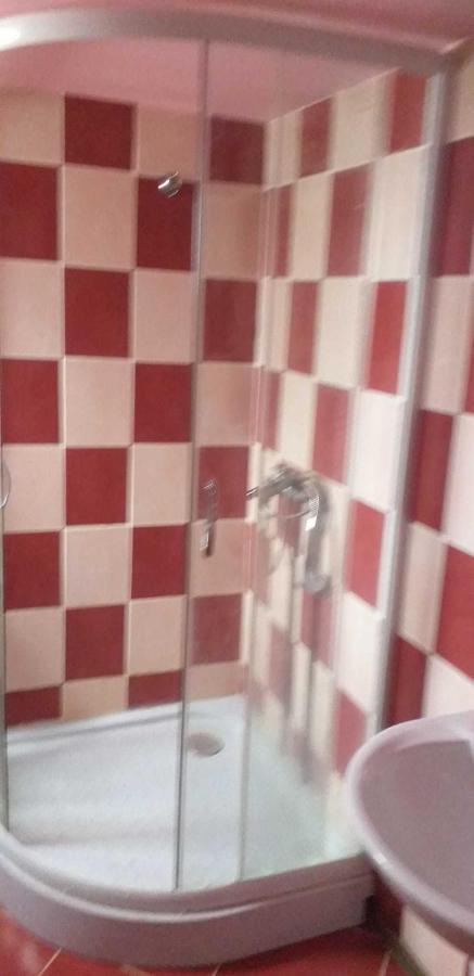 Casa Boierului Imbri Villa Cîrţişoara Buitenkant foto