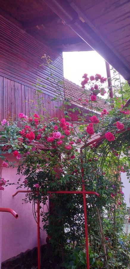 Casa Boierului Imbri Villa Cîrţişoara Buitenkant foto