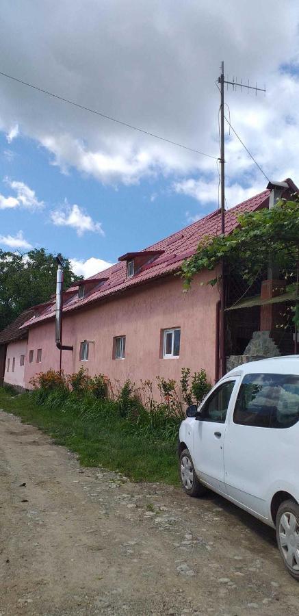 Casa Boierului Imbri Villa Cîrţişoara Buitenkant foto