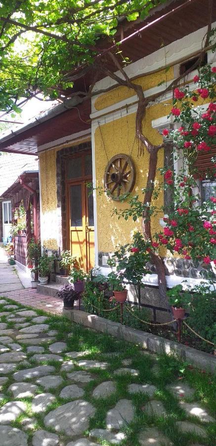 Casa Boierului Imbri Villa Cîrţişoara Buitenkant foto