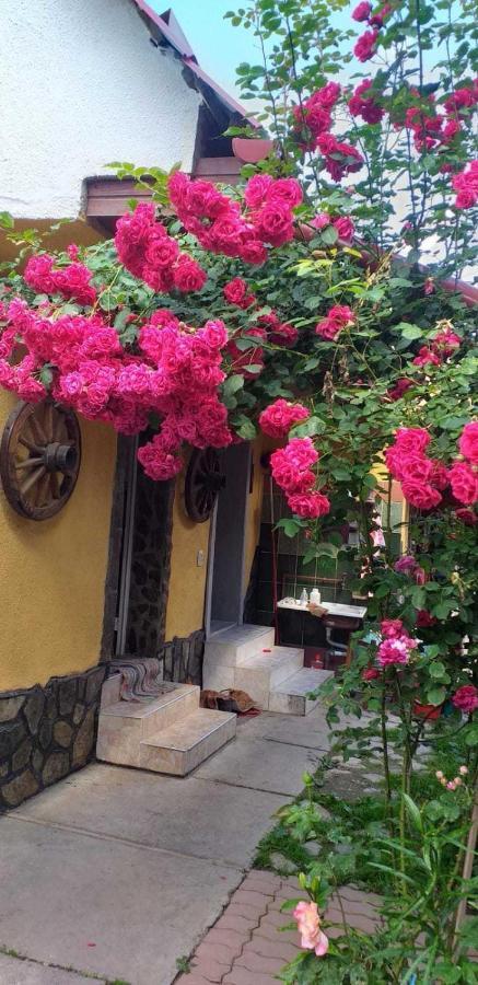 Casa Boierului Imbri Villa Cîrţişoara Buitenkant foto