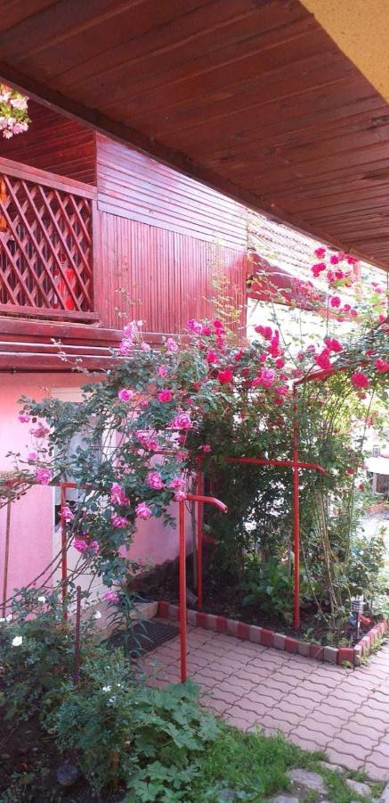 Casa Boierului Imbri Villa Cîrţişoara Buitenkant foto