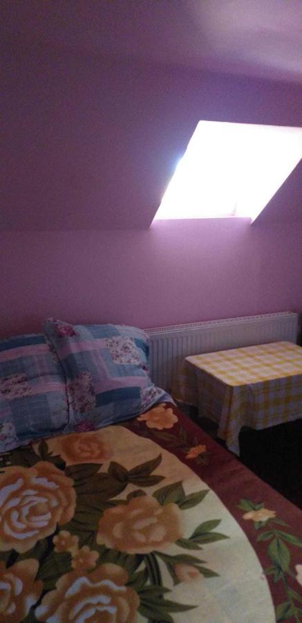 Casa Boierului Imbri Villa Cîrţişoara Buitenkant foto